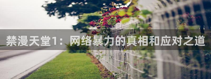 omofun网页版入口：禁漫天堂1：网络暴力的真相和应对之道