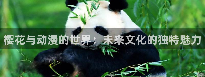 omofun动漫官方首页：樱花与动漫的世界：未来文化的独特魅力