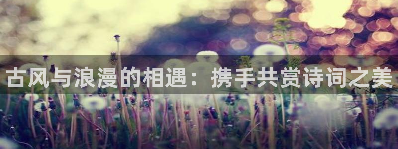 omofun动漫动漫：古风与浪漫的相遇：携手共赏诗词之美