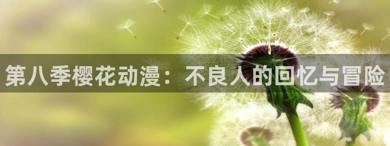 omofun轻量版：第八季樱花动漫：不良人的回忆与冒险