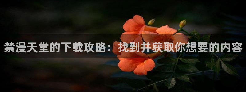 动漫共和国(omofun)官网：禁漫天堂的下载攻略：找到并获取你想要的内容