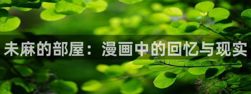 omofun可以投屏吗：未麻的部屋：漫画中的回忆与现实