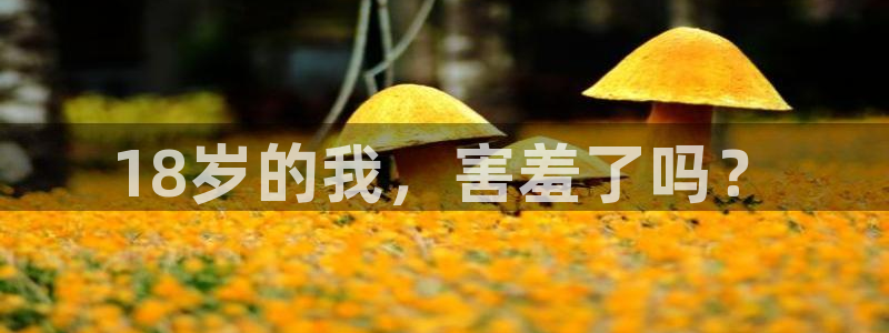 omofun网站：18岁的我，害羞了吗？