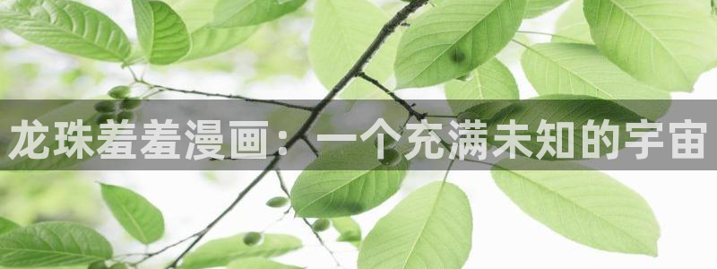 omofun动画网：龙珠羞羞漫画：一个充满未知的宇宙