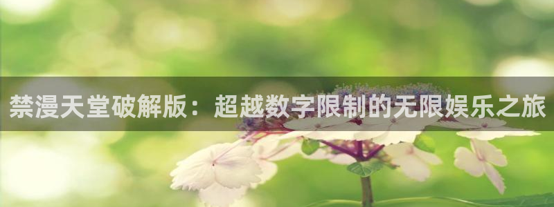 喵趣漫画app下载：禁漫天堂破解版：超越数字限制的无限娱乐之旅