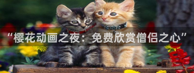苹果omofun网页版入口：“樱花动画之夜：免费欣赏僧侣之心”