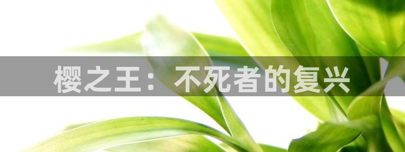 omofun下载app：樱之王：不死者的复兴