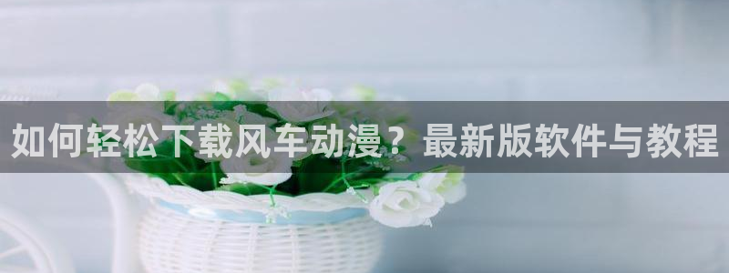 omofun无广告：如何轻松下载风车动漫？最新版软件与教程