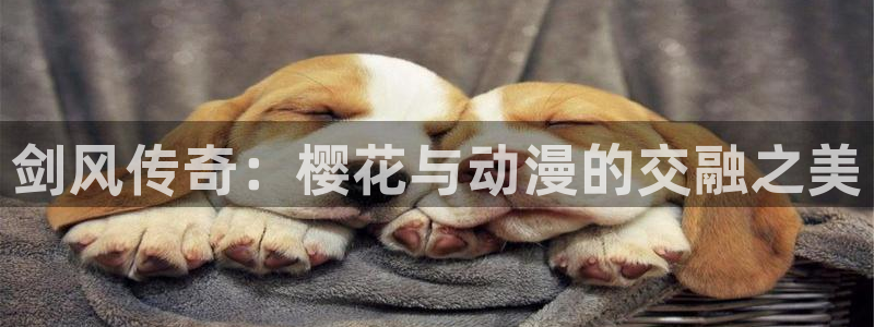 omofun新版本：剑风传奇：樱花与动漫的交融之美