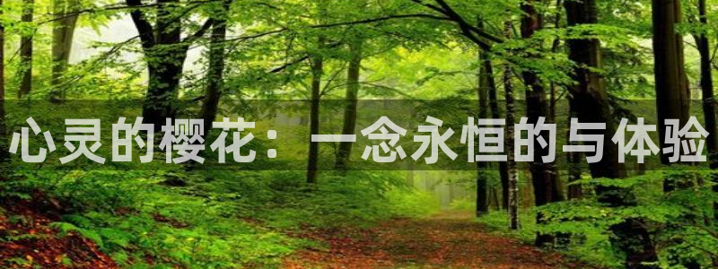 omofun动漫官网在线观看：心灵的樱花：一念永恒的与体验