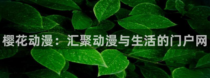 omofun漫画：樱花动漫：汇聚动漫与生活的门户网