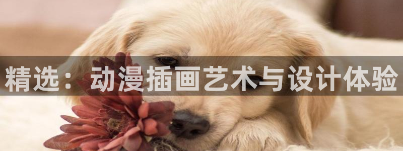 omofun动漫网页版：精选：动漫插画艺术与设计体验