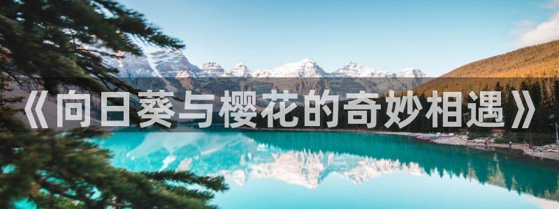 omofun纯净无广告版：《向日葵与樱花的奇妙相遇》
