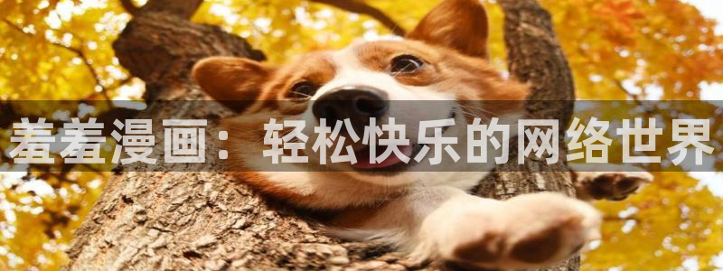 omofun全新：羞羞漫画：轻松快乐的网络世界