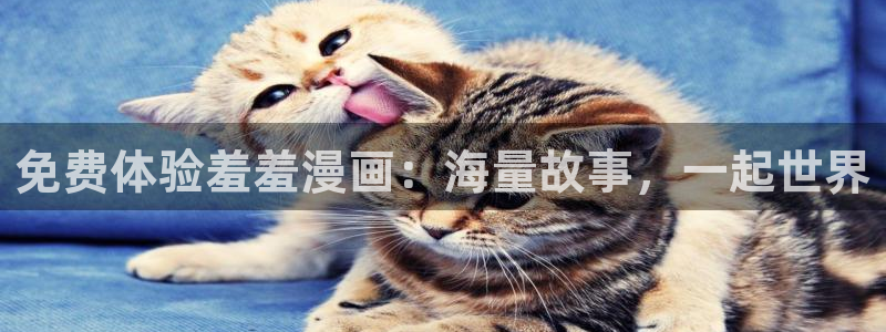 omofun动漫在线观看动漫最新版本更新