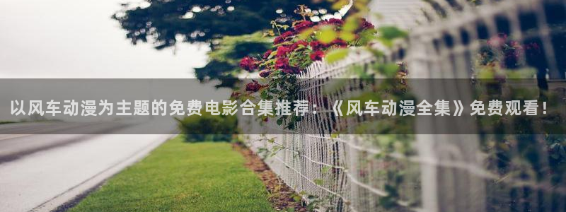 omofun全新版官网入口：以风车动漫为主题的免费电影合集推荐：《风车动漫全集》免费观看！