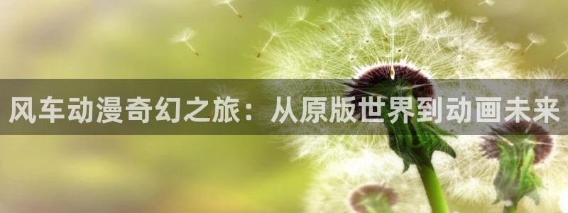 omofun在线观看免费动漫：风车动漫奇幻之旅：从原版世界到动画未来