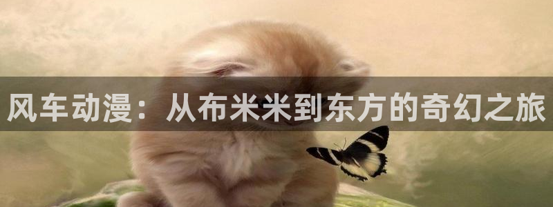 omofun怎么自签：风车动漫：从布米米到东方的奇幻之旅
